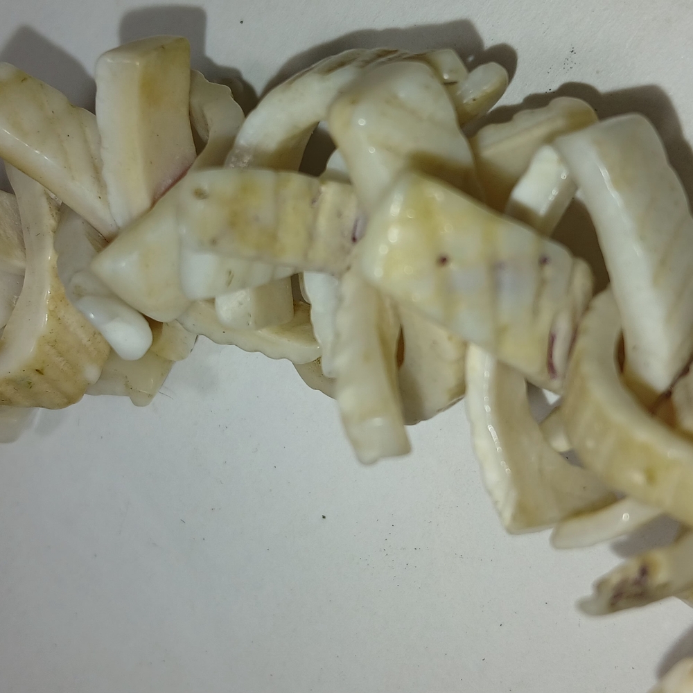 Natural Shell Necklace - Picture 3 of 3